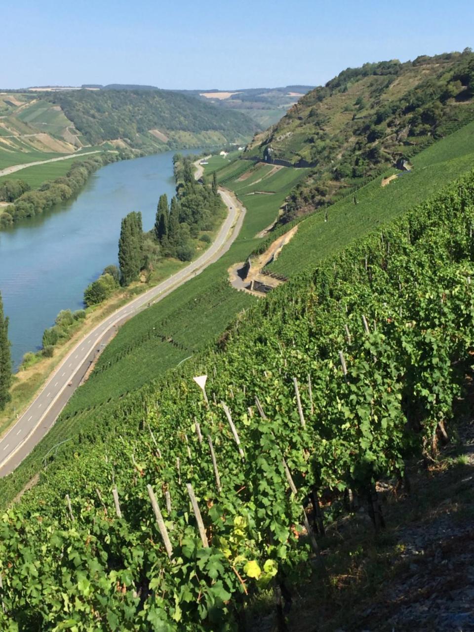 Weingut&Gästehaus Edwin Hoffmann Trittenheim Exterior foto